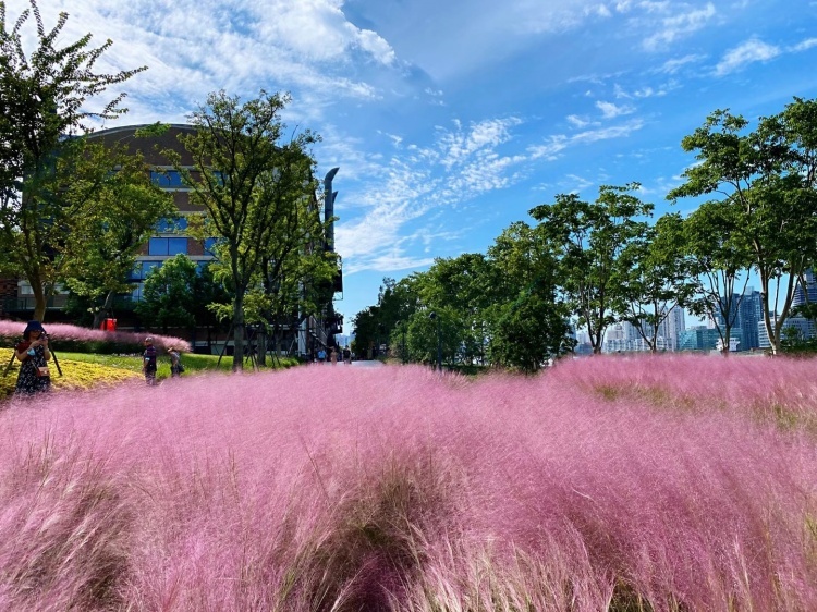 世界无车日浦东骑行线路_浦东地区骑行推荐_浦东滨江自行车道