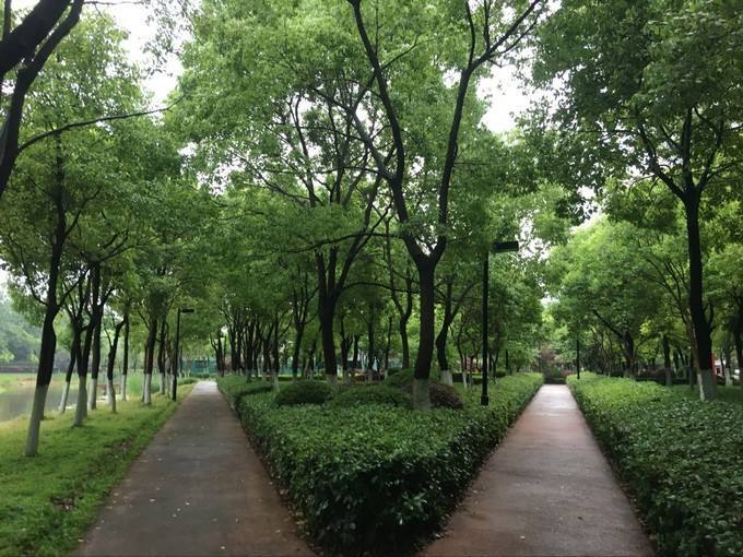 世界无车日浦东骑行线路_浦东滨江自行车道_浦东地区骑行推荐