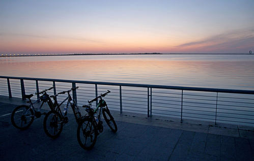 浦东滨江自行车道_浦东地区骑行推荐_世界无车日浦东骑行线路