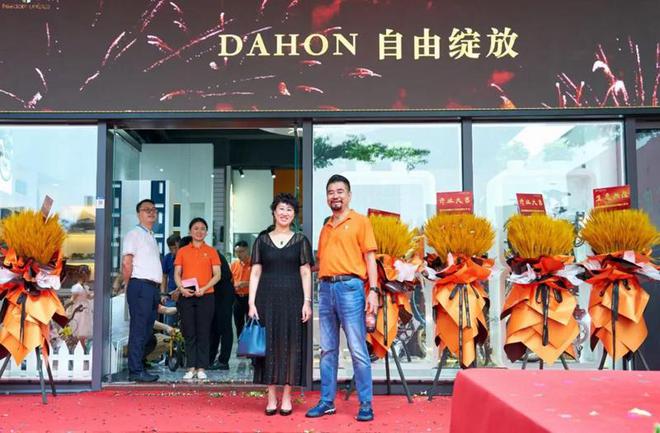 大行自行车旗下品牌_大行自行车品牌排行_大行自行车哪款好