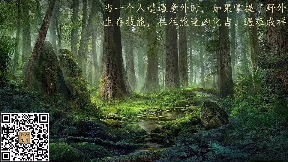 捷安特自行车塔基拆卸视频_捷安特塔基结构_捷安特塔基