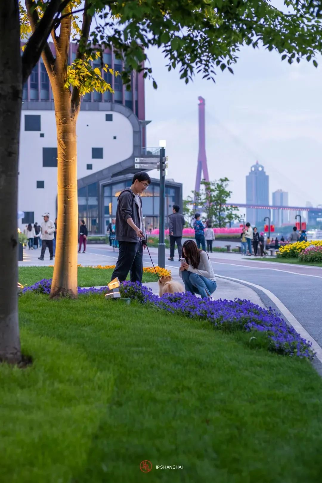 浦东滨江自行车道_黄浦江滨江艺术改造_徐汇滨江艺术体验