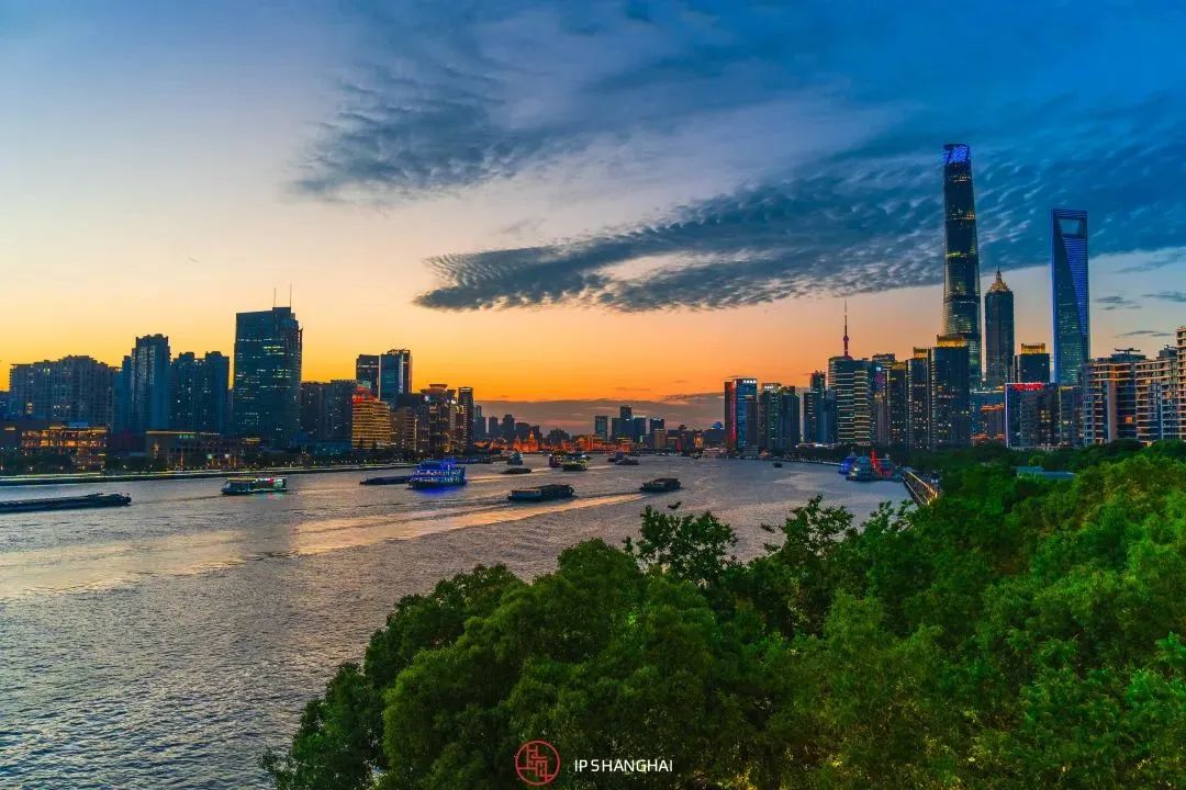 徐汇滨江艺术体验_浦东滨江自行车道_黄浦江滨江艺术改造