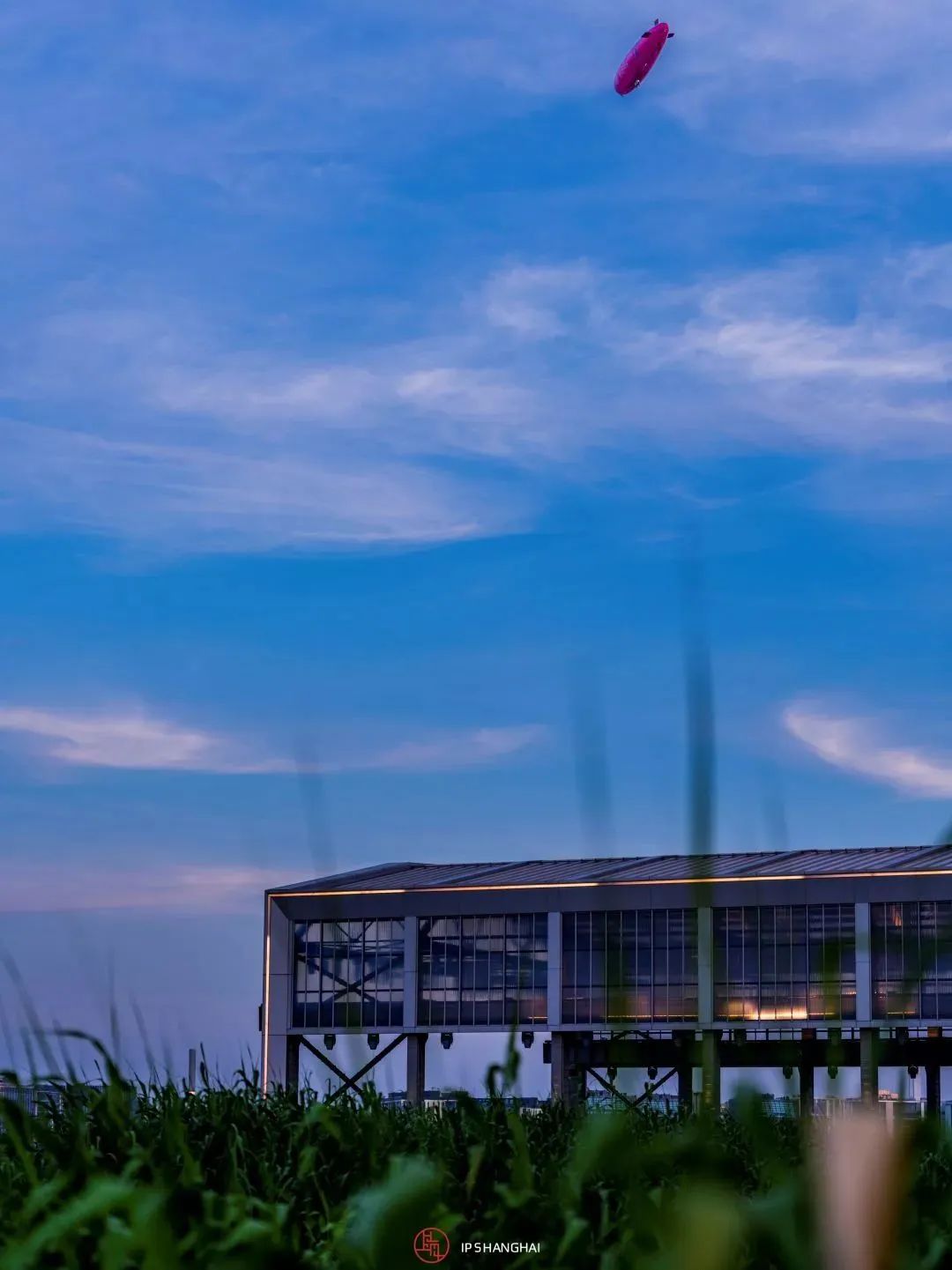 黄浦江滨江艺术改造_徐汇滨江艺术体验_浦东滨江自行车道