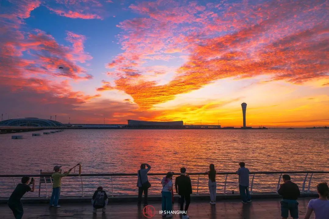 黄浦江滨江艺术改造_徐汇滨江艺术体验_浦东滨江自行车道