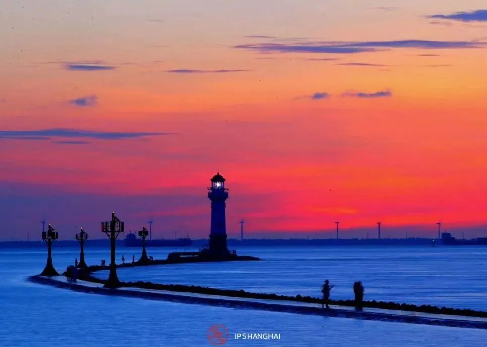 黄浦江滨江艺术改造_浦东滨江自行车道_徐汇滨江艺术体验