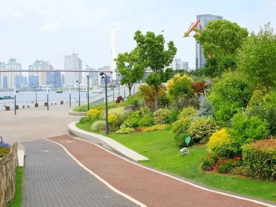 浦东滨江自行车道_浦东滨江工业遗产_上海工业遗产改造案例