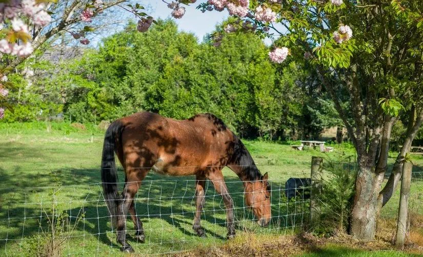 路虎山地车安装视频_路虎山地车多少钱一台_路虎山地车货架