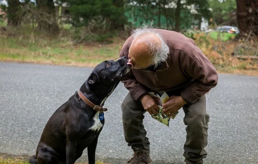 路虎山地车安装视频_路虎山地车多少钱一台_路虎山地车货架