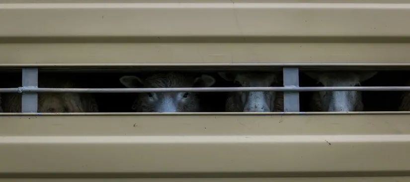 路虎山地车安装视频_路虎山地车货架_路虎山地车多少钱一台