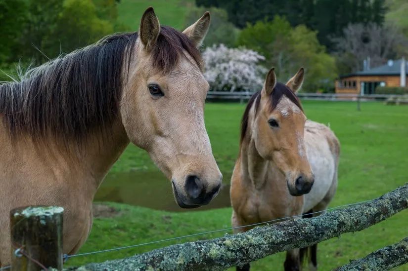 路虎山地车安装视频_路虎山地车货架_路虎山地车多少钱一台