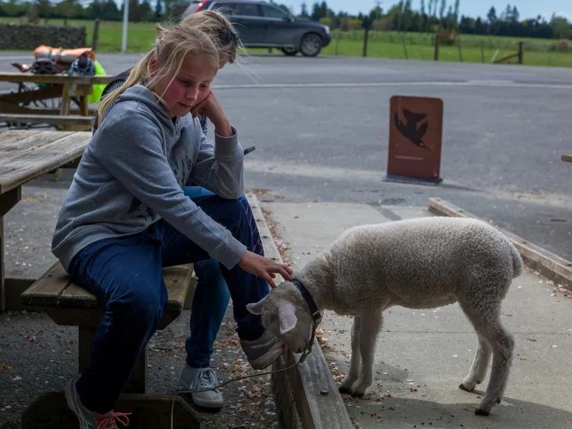 路虎山地车货架_路虎山地车安装视频_路虎山地车多少钱一台