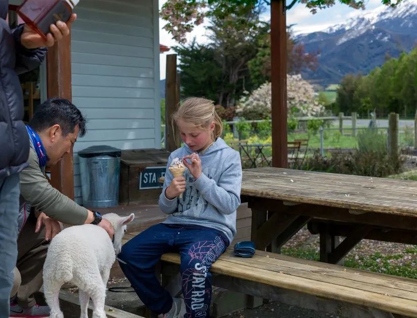 路虎山地车安装视频_路虎山地车多少钱一台_路虎山地车货架
