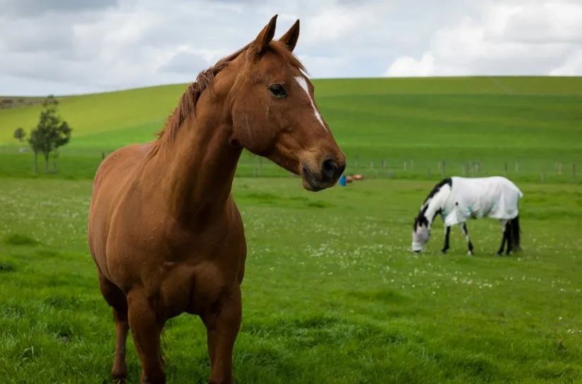 路虎山地车安装视频_路虎山地车货架_路虎山地车多少钱一台