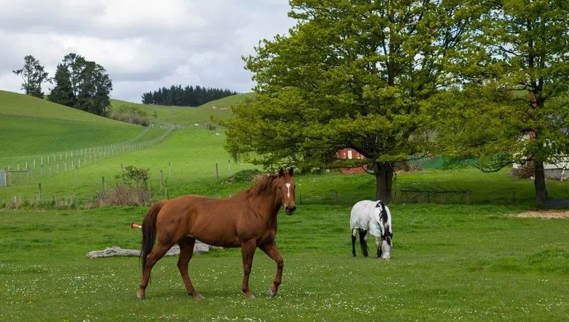 路虎山地车多少钱一台_路虎山地车货架_路虎山地车安装视频