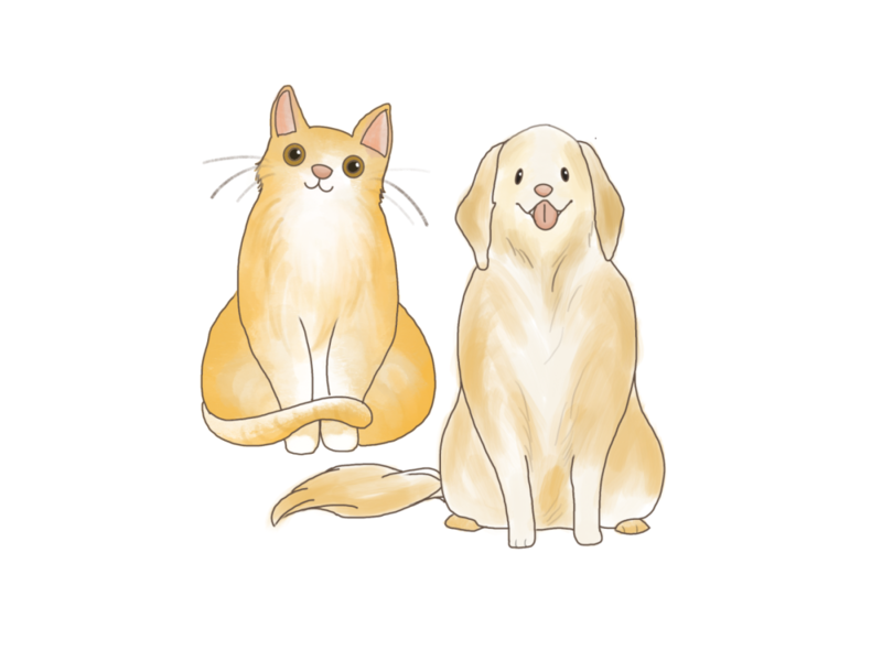 打火机能带上高铁吗_春运火车携带物品限制_铁路旅客禁止携带物品目录