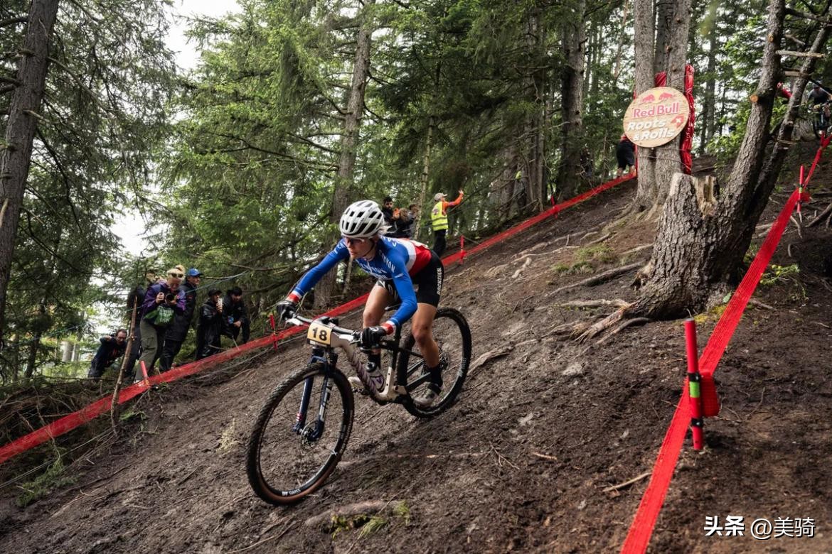 自行车前轮圈上xc是什么意思_自行车上的车轮是什么_自行车前轮是什么