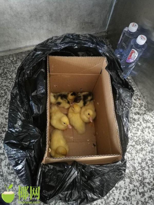 乘坐火车哪些物品不能带_高铁携带物品限制规定_打火机能带上高铁吗