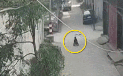 智能平衡车 原理_电动平衡车不是玩具属性分析_电动平衡车质量抽查不合格率