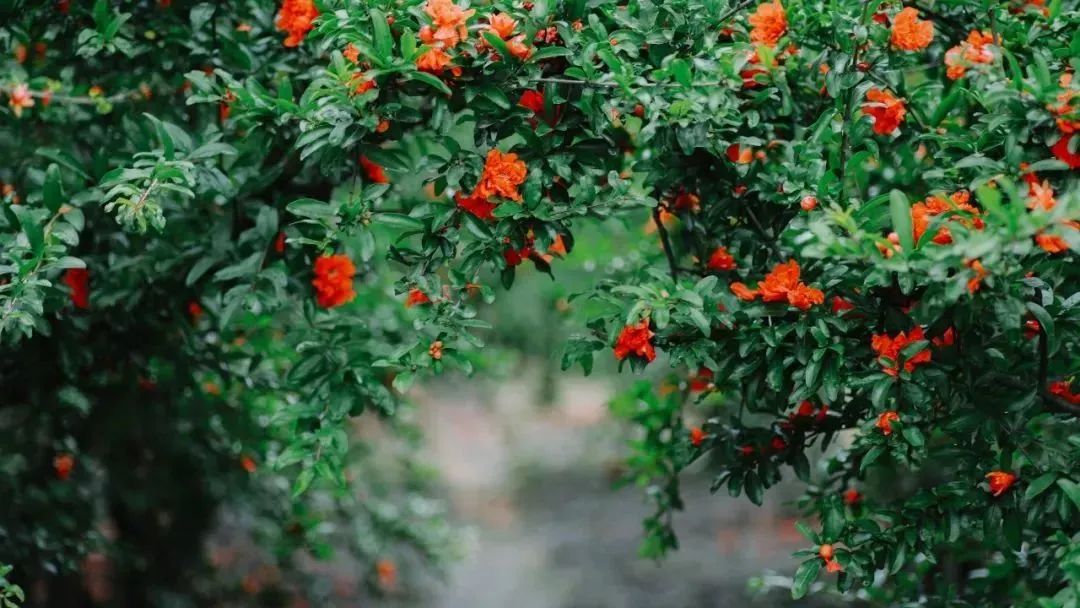 上海浦东滨江骑行路线_上海松江欢乐骑行线_上海公路自行车店