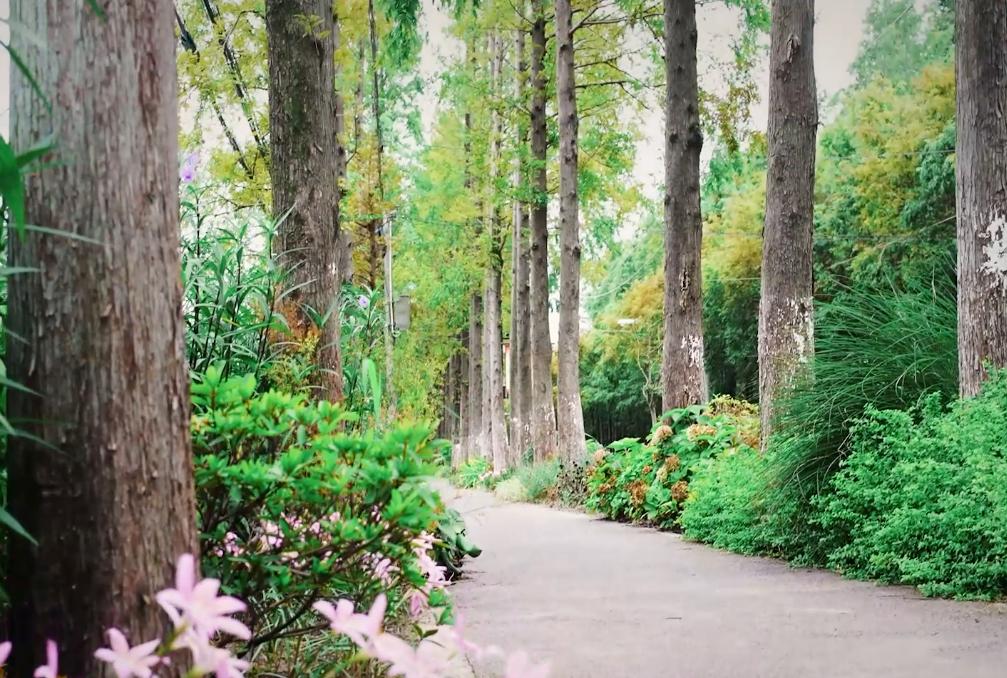 上海公路自行车店_上海浦东滨江骑行路线_上海松江欢乐骑行线