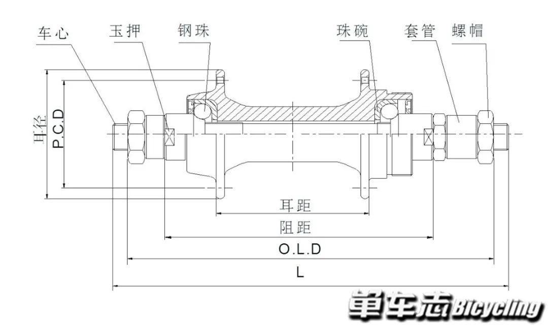 自行车花鼓结构解析_山地车塔基怎么拆下_自行车花鼓类型
