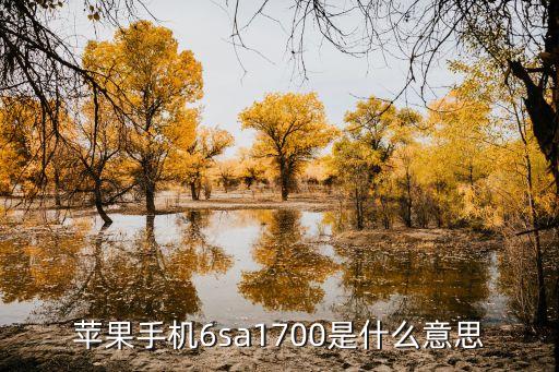 星空综合体育app下载 苹果a1660，苹果手机6sa1700是什么意思