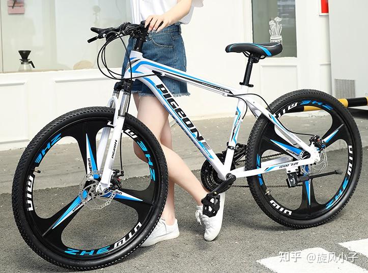 自行车品牌排行榜前十名_自行车哪个牌子耐用质量好_自行车前叉锁死