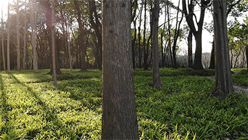 mavic air适合新手_大疆Mavic Air便携设计_大疆Mavic Air安全功能