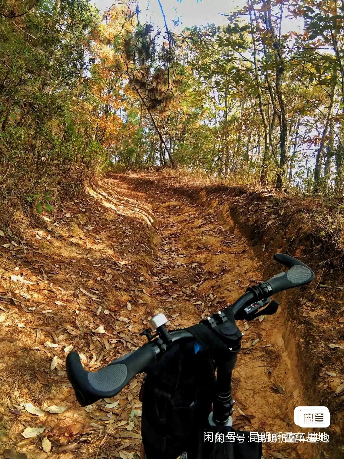 26寸折叠自行车缺点_国产配件折叠车_珠光漆海豚折叠车