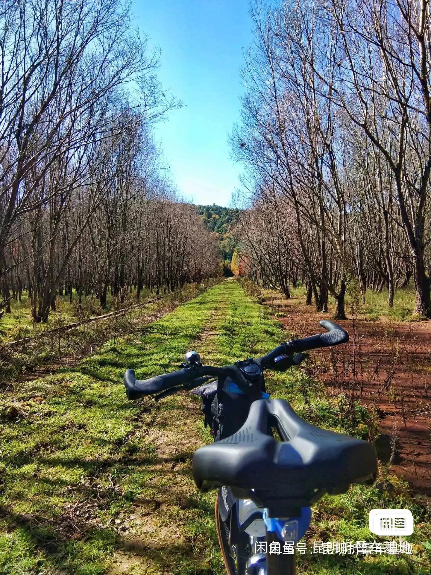 26寸折叠自行车缺点_国产配件折叠车_珠光漆海豚折叠车