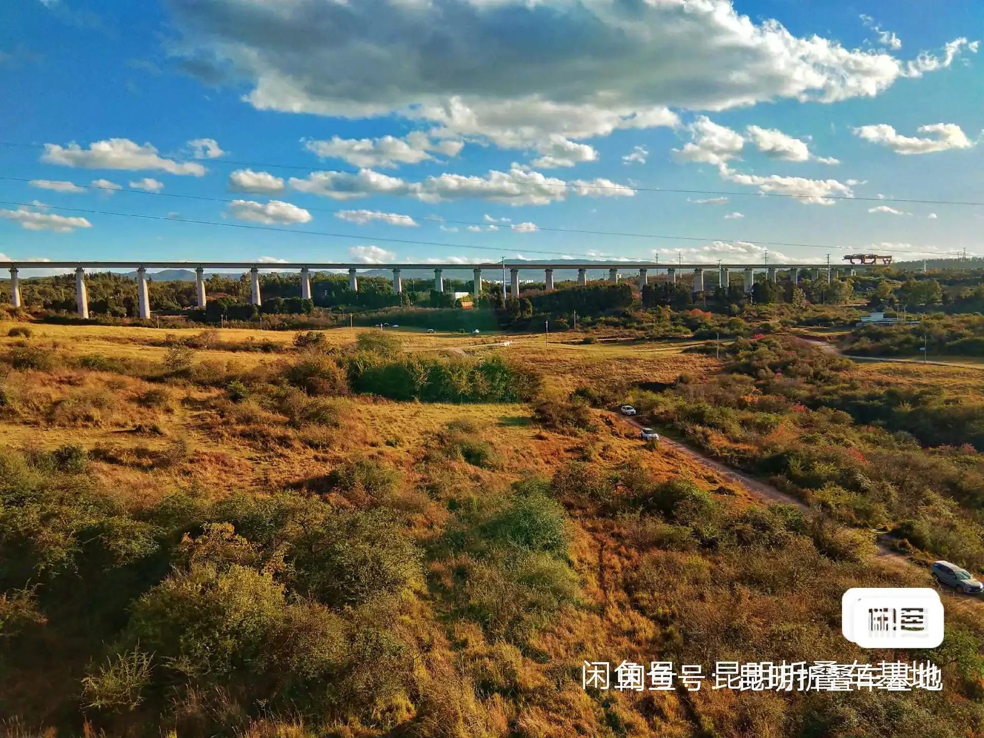 珠光漆海豚折叠车_26寸折叠自行车缺点_国产配件折叠车