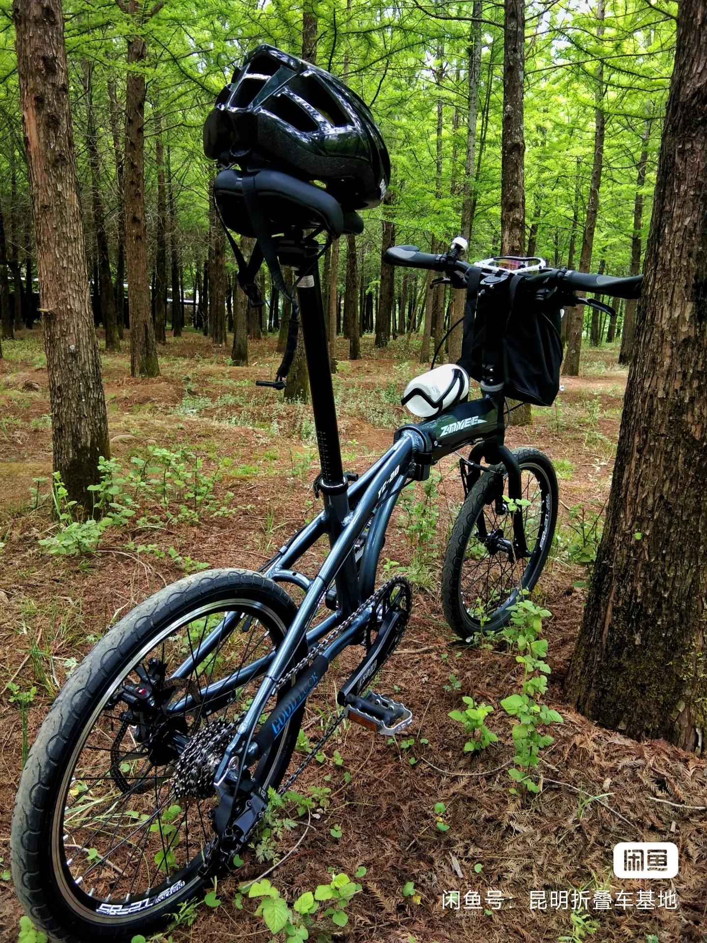 国产配件折叠车_26寸折叠自行车缺点_珠光漆海豚折叠车