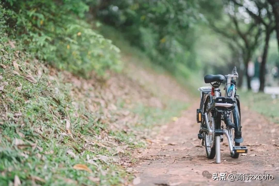 骑折叠自行车旅行优势_26寸折叠自行车缺点_折叠自行车旅行优点缺点分析