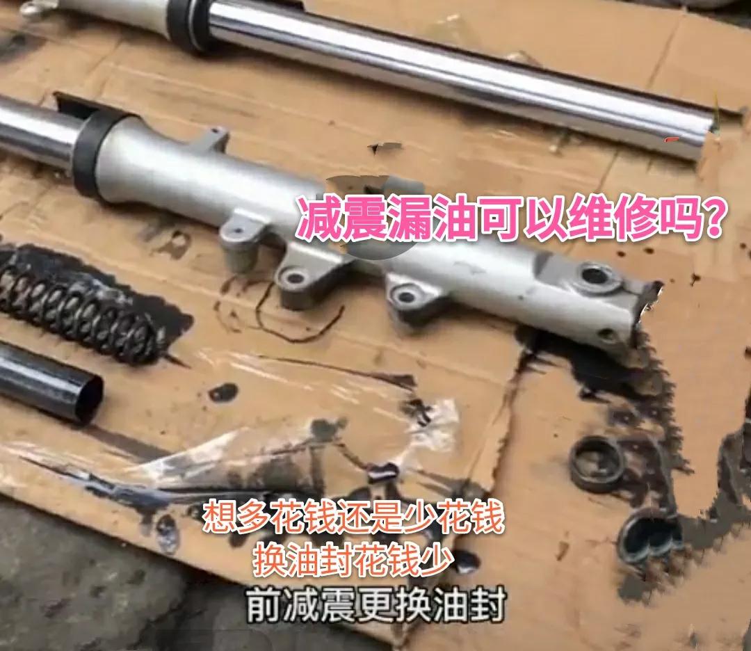 暗网下载 电动车的前减震漏油该怎么办？这办法对你有用，几分钟就修好减震